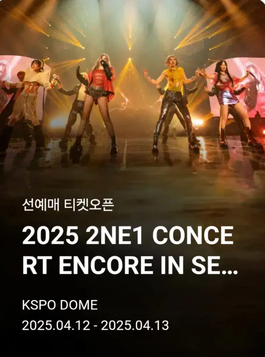 2025 2NE1 CONCERT 플로어석